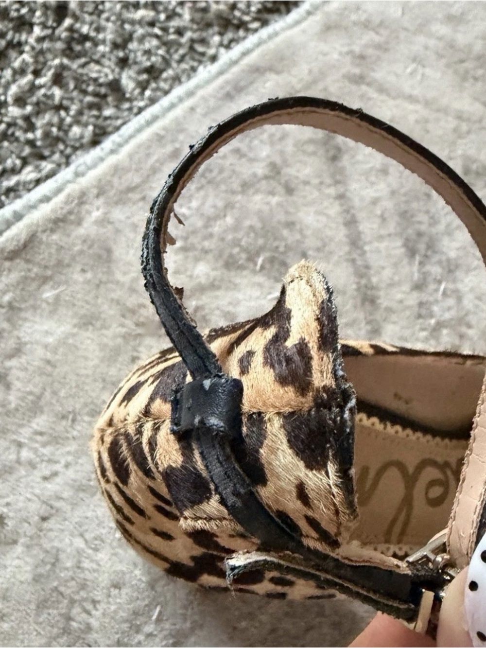 Sam Edelman Leopard Print Pointed Slingback Heels in Tan and Black - Picture 5 of 12